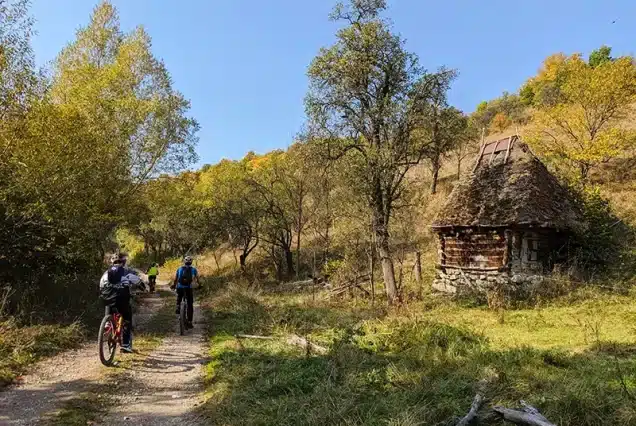 circuit MTB muntii Trascau