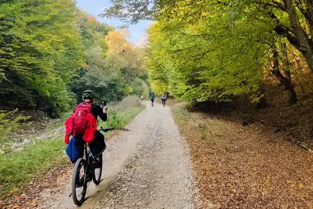 circuit MTB muntii Trascau