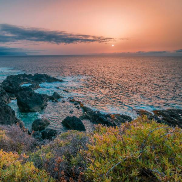 Peisaj insula Tenerife