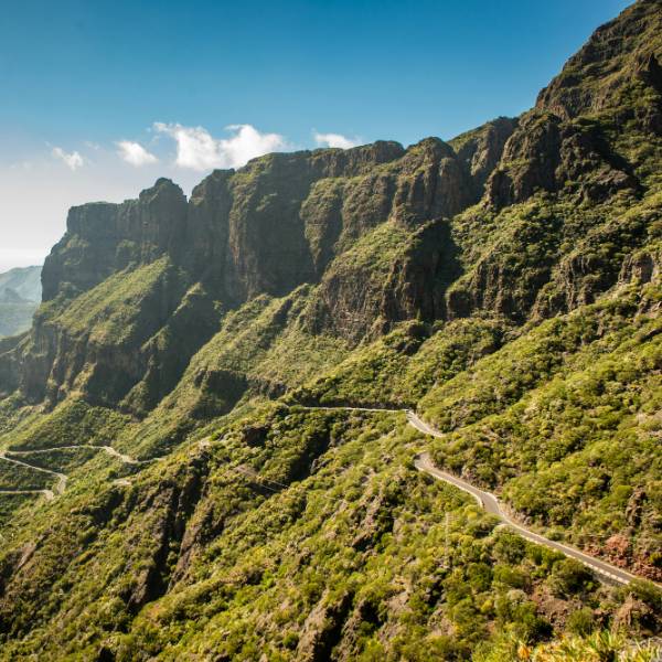 Peisaj insula Tenerife