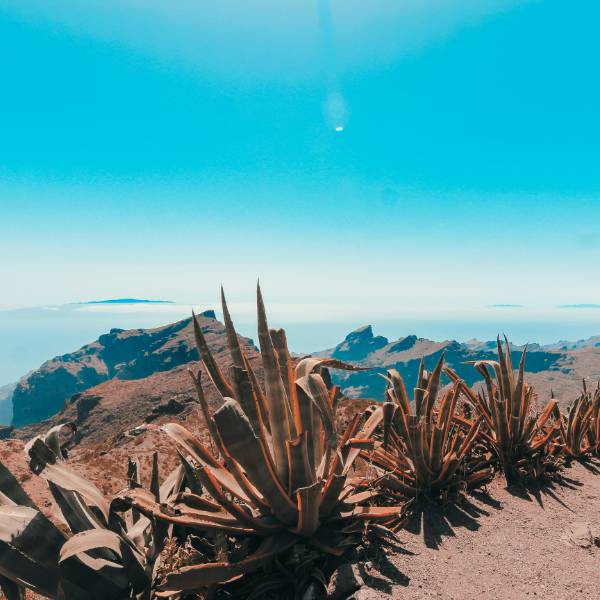 Peisaj insula Tenerife