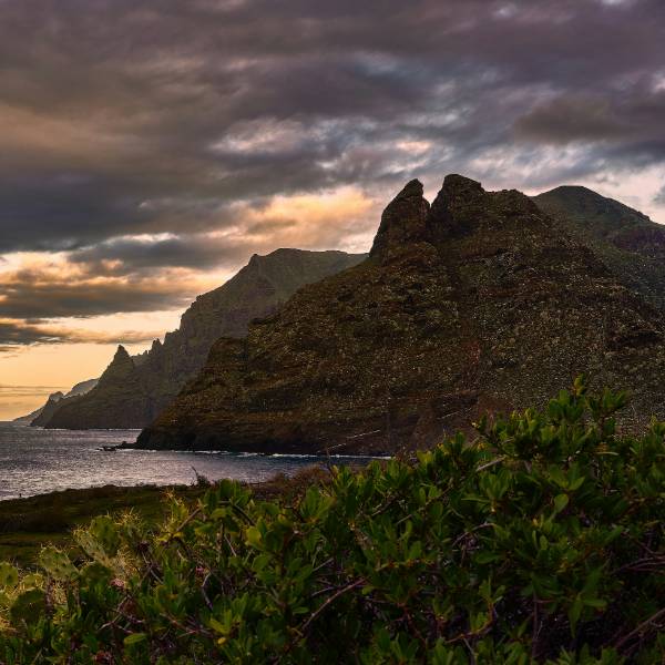 Peisaj insula Tenerife