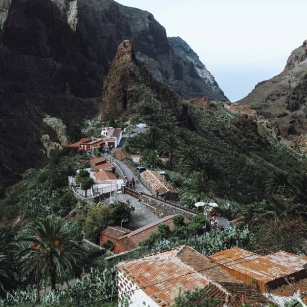 Peisaj insula Tenerife