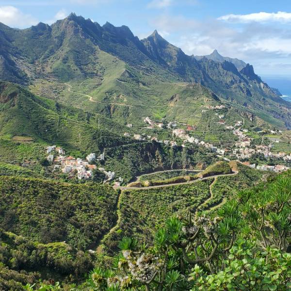 Peisaj insula Tenerife