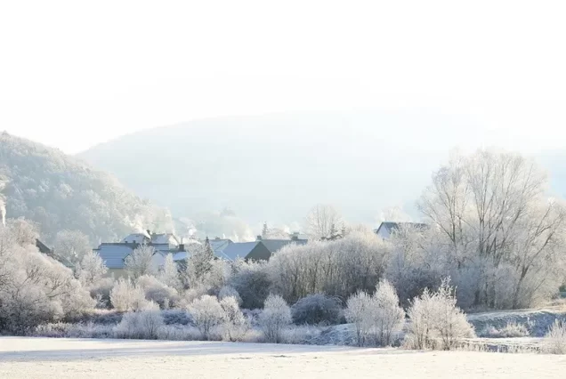 revelion moeciu de sus