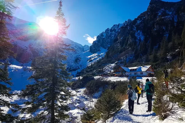 revelion moeciu de sus