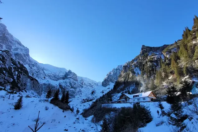 revelion moeciu de sus