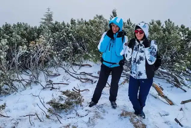 revelion moeciu de sus