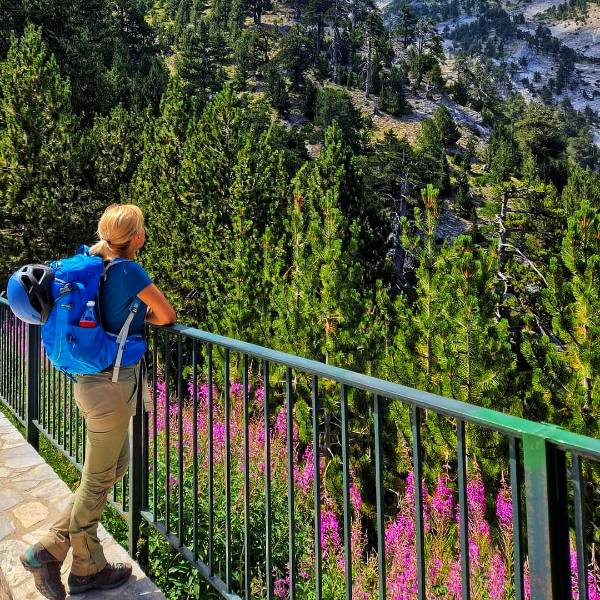 Un arici de mare în mâini