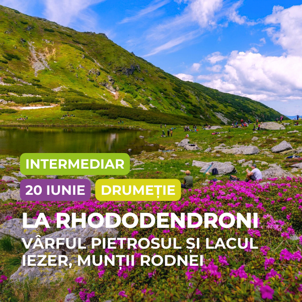 drumetie pietrosul rodnei