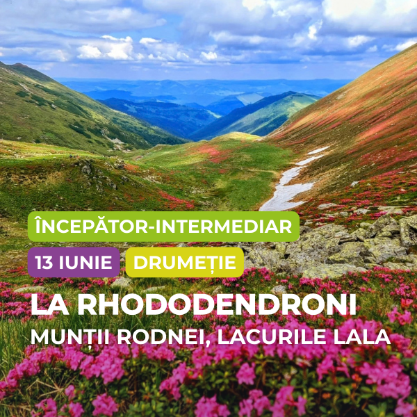 drumetie rodnei, lala