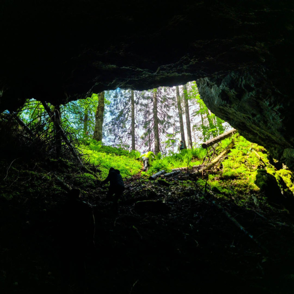 drumetie ghetarul vartop