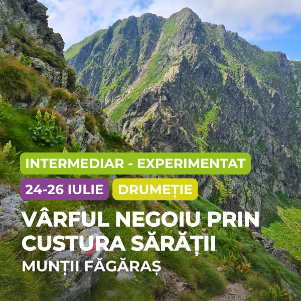 drumetie varful negoiu