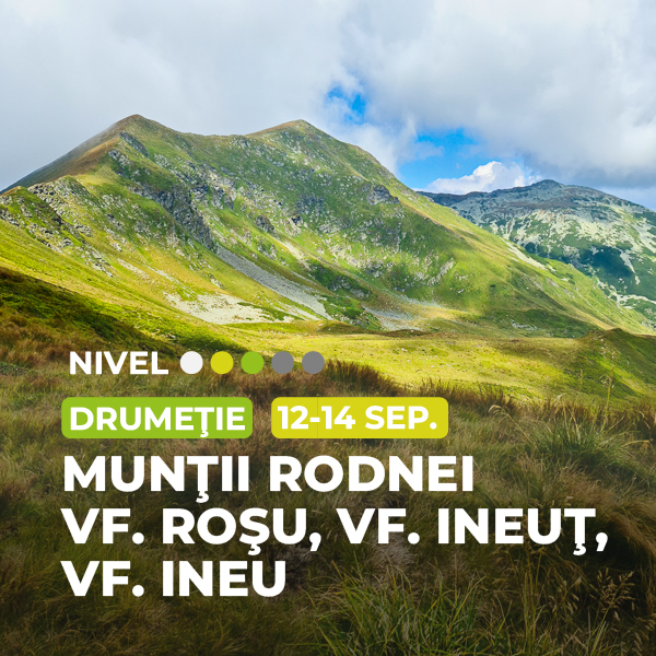 muntii rodnei