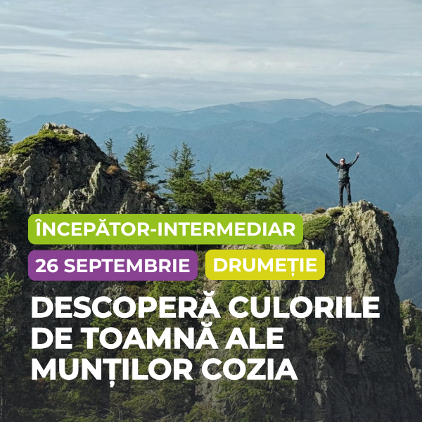 muntii cozia