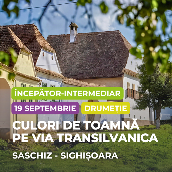 saschiz-sighisoara
