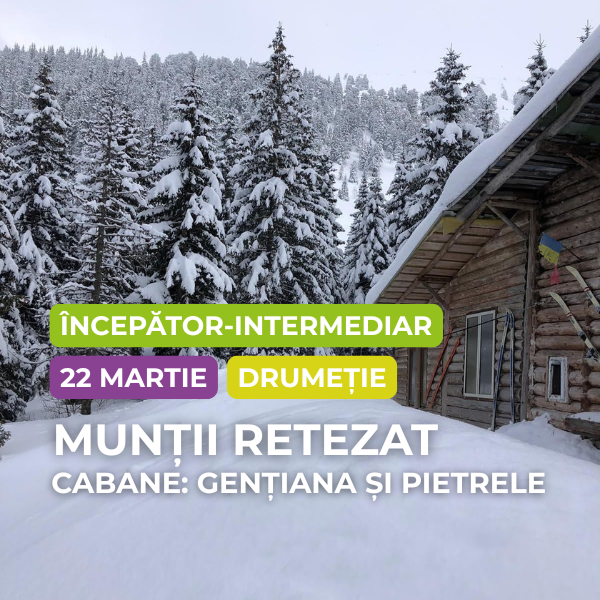 Muntii retezat gentiana pietrele