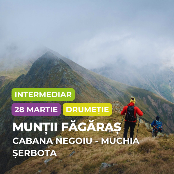 drumetie negoiu-serbota