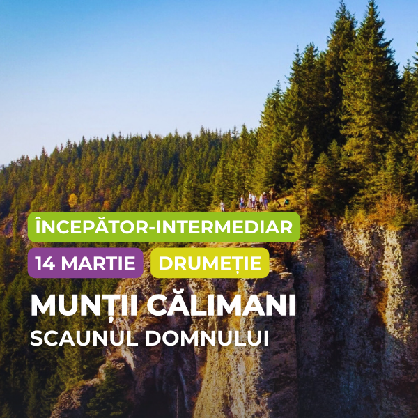 drumetie scaunul domnului