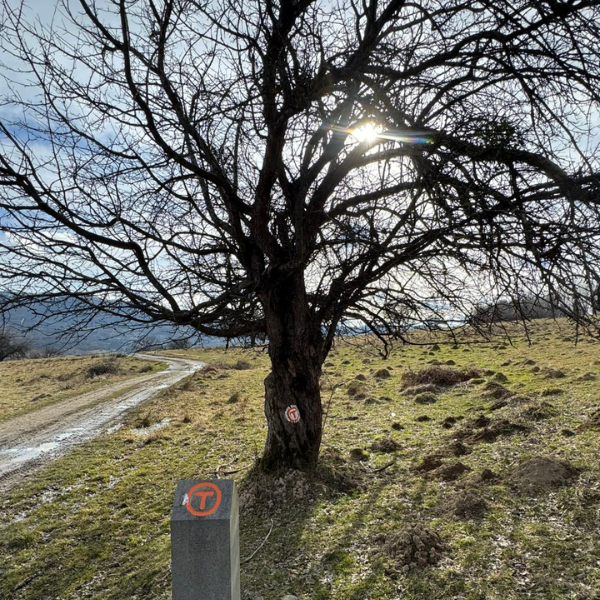 drumetie VT casva-brancovenesti