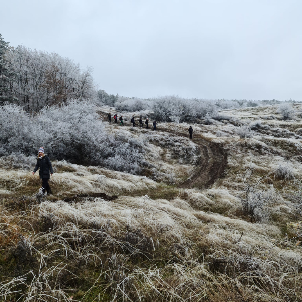 drumetie piatra craivii