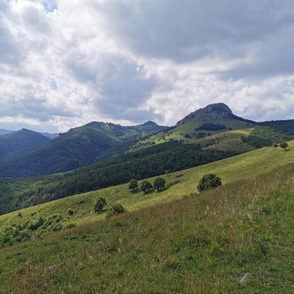 drumetie piatra craivii