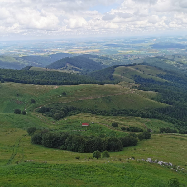 drumetie piatra craivii