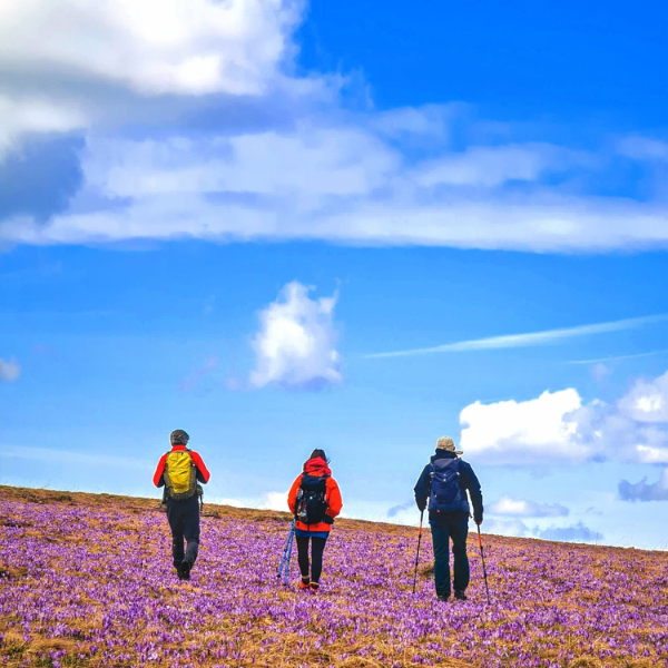 drumetie piatra talharului