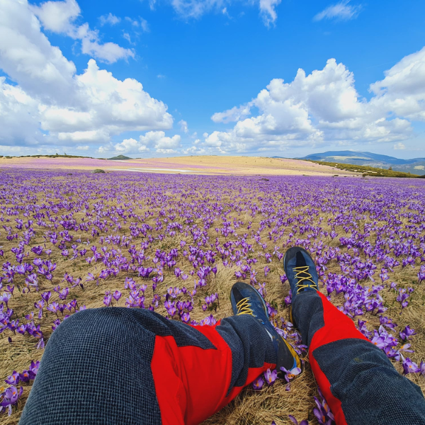 drumetie piatra talharului