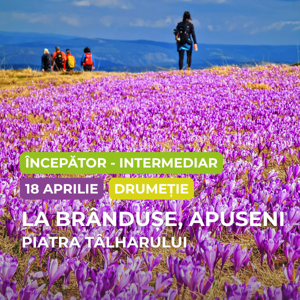 drumetie piatra talharului apuseni