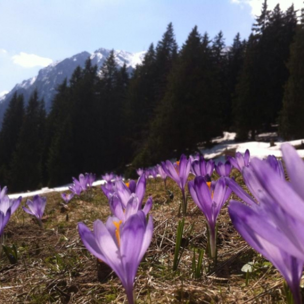 drumetie piatra talharului