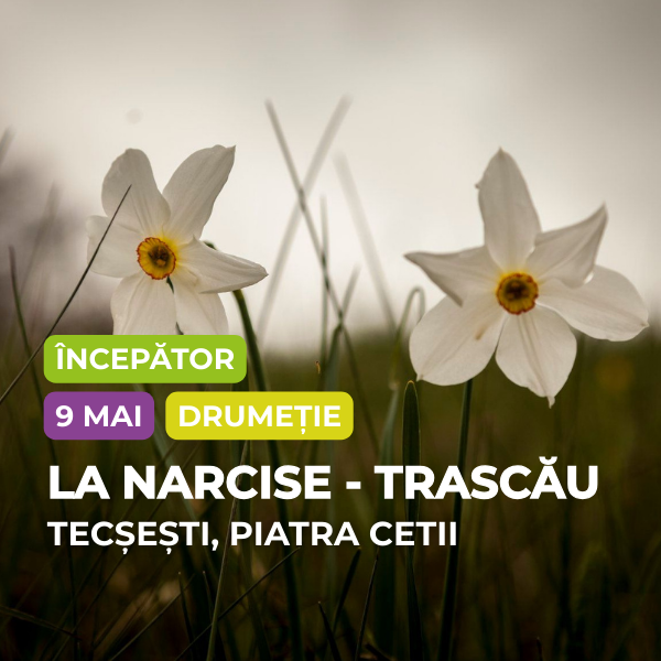 drumetie-trascau-tecsesti