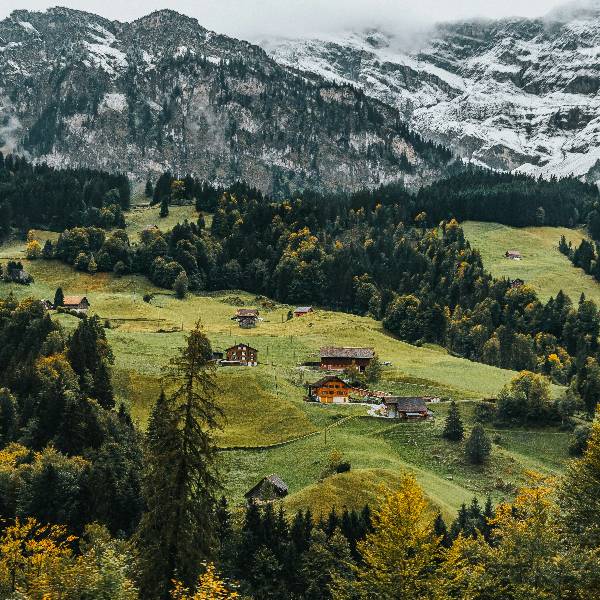 Peisaj alpin montan Elvetia