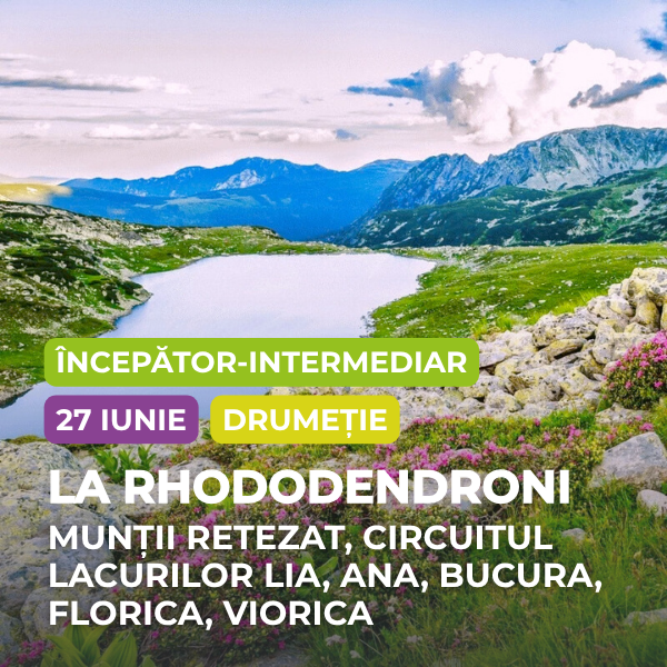 la rhododendron retezat bucura