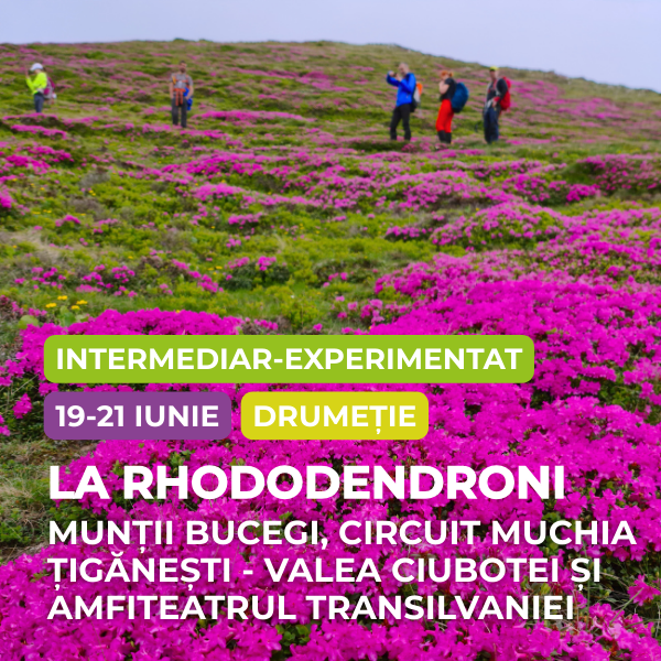 drumetie bucegi