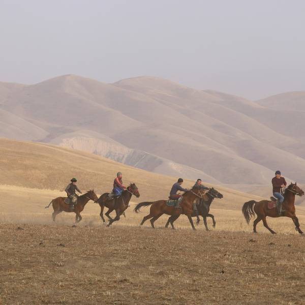 calareti in galop Kyrgysztan