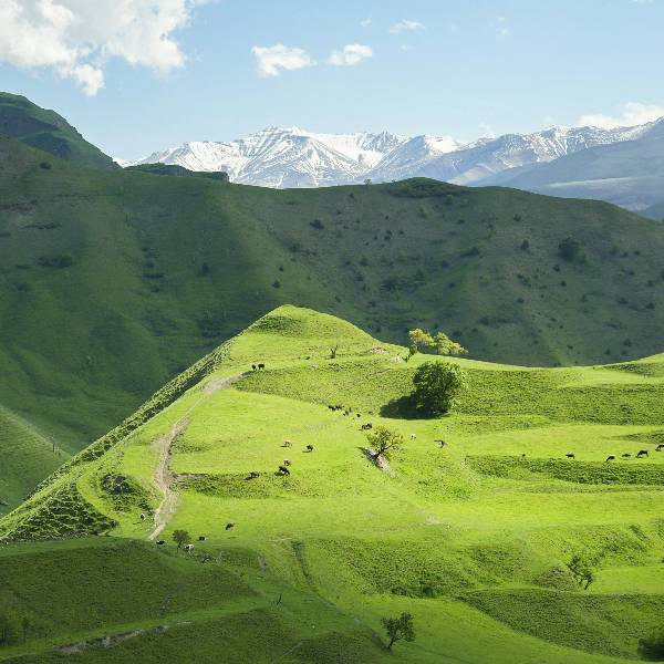 Peisaj alpin Kyrgysztan