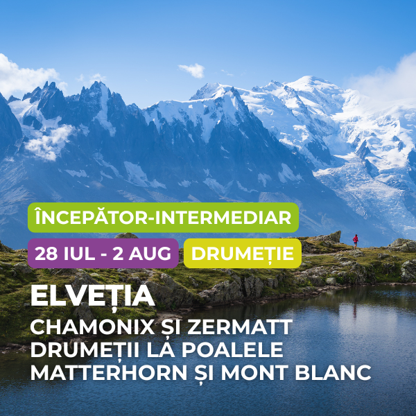 elvetia