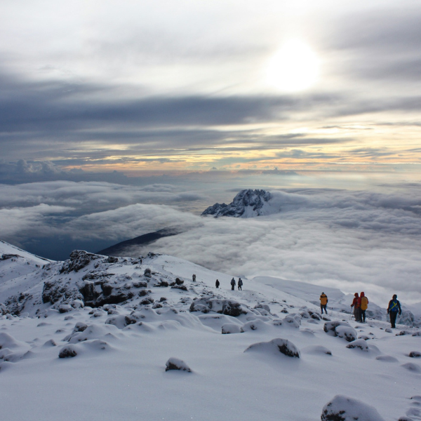 kilimanjaro