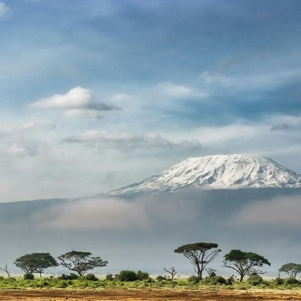 kilimanjaro