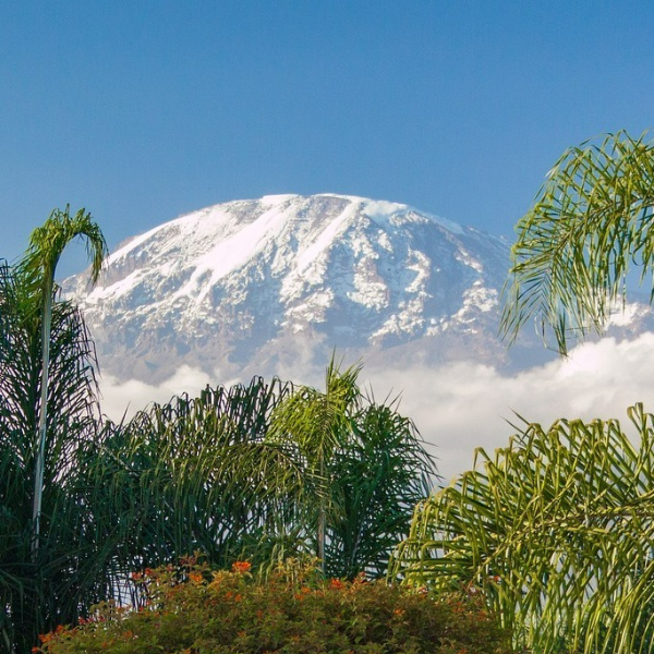 kilimanjaro