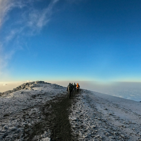 kilimanjaro