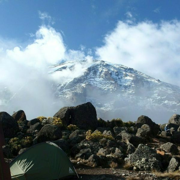 kilimanjaro