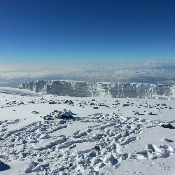 kilimanjaro