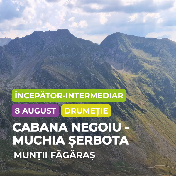 negoiu serbota