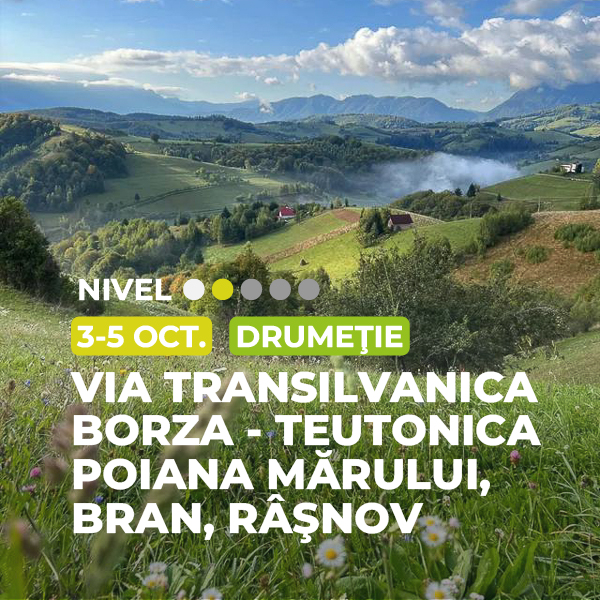 via transilvanica