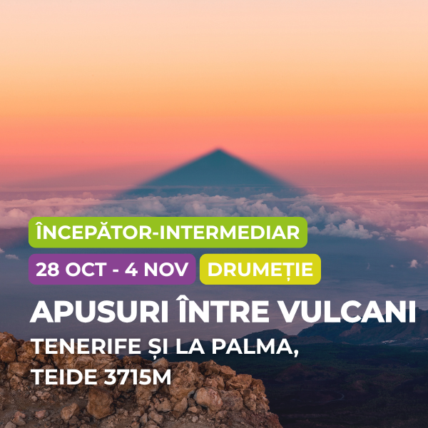 tenerife si la palma