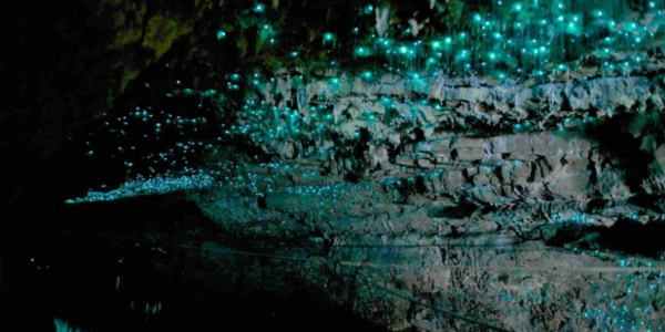 Noua Zelnadă - Insula de Sud