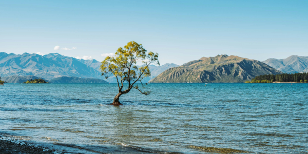 Noua Zelnadă - Insula de Sud