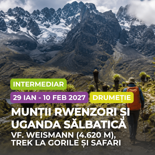 rwenzori